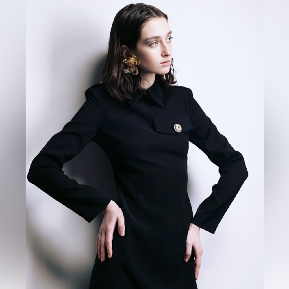 BNWT Fitted Long Sleeve Dress With Stand-Up Collar - Black